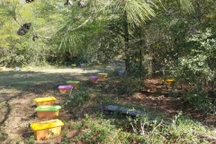 nucs